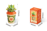 EPT1444336 - Plant Cup Blocks: Tiny Jungle